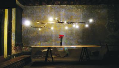 CP Lighting Christopher Poehlmann 9 newGROWTH Chandelier