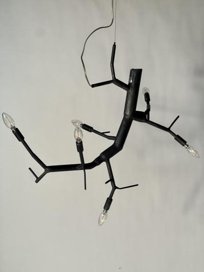 CP Lighting Christopher Poehlmann newGROWTH Pendant