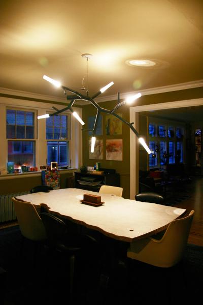 CP Lighting Christopher Poehlmann newGROWTH2 LED Chandelier by Christopher Poehlmann for CP Lighting