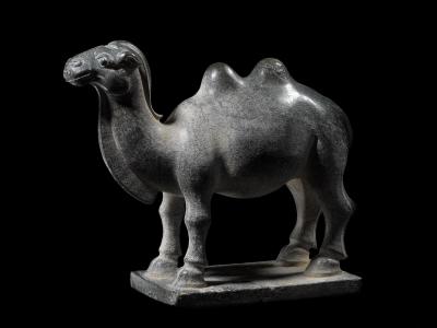 Camel