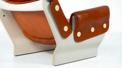 Canada P110 Armchair by Osvaldo Borsani for Tecno 1960s