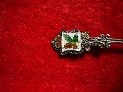 Canadian Sterling Silver And Enameled Souvenir Salt Spoon 4 29g