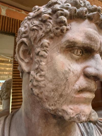 Caracalla bust in terracotta 19th Italy