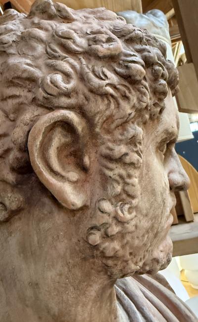 Caracalla bust in terracotta 19th Italy