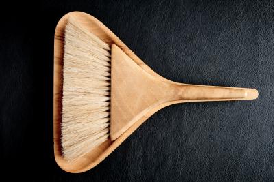 Carl Aub ck Carl Aub ck Dust Brush