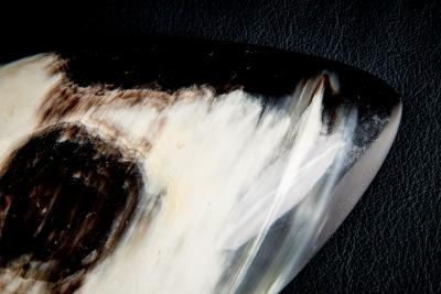 Carl Aub ck Carl Aub ck Horn Bowl