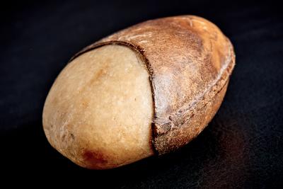 Carl Aub ck Carl Aub ck Paperweight in Leather and Stone