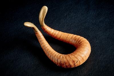 Carl Aub ck Carl Aub ck Pipe Holder