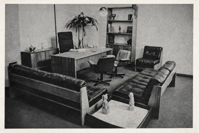 Carlo Fongaro Dinamarquesa Armchair in Rosewood Leather Carlo Fongaro 1970s