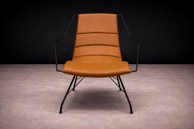 Carlo Hauner Armchair in Brown Leather Iron Carlo Hauner 1950s