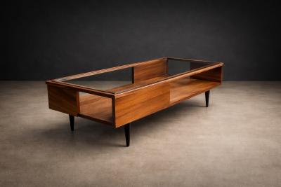 Carlo Hauner Carlo Hauner Caviuna Wood Glass Display Coffee Table Brazil 1950s