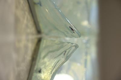 Carlo Nason Six Wall Lamps Model LP 253 by Carlo Nason for AV Mazzega Italy 1970s