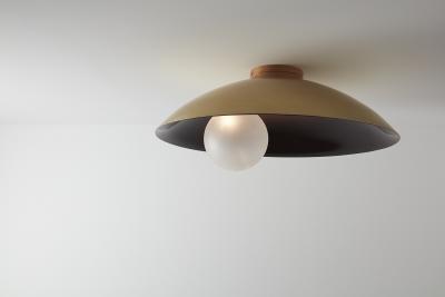 Carlyle Collective Oyster Ceiling Fixture