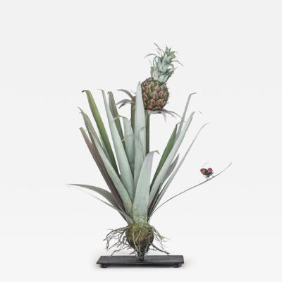 Carmen Almon Pineapple with Bibles Hyperia 2025