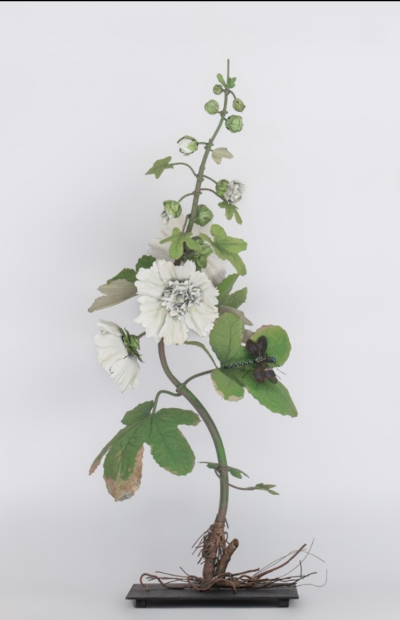 Carmen Almon White Hollyhock with Dragonfly 2025