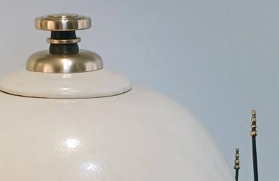 Caroline Wagenaar Jarre Horsetail