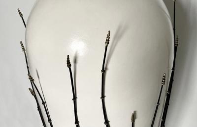 Caroline Wagenaar Jarre Horsetail