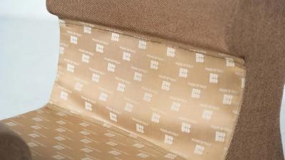 Carrera sofa by De Pas D Urbino and Lomazzi for BBB Bonacina 1960s