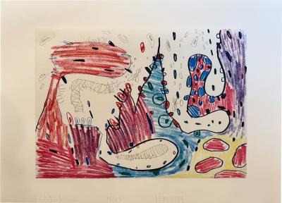 Carroll Dunham Carroll Dunham Colored Etching IV Signed Numbered