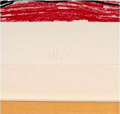 Carroll Dunham Colored Etching II Signed and Numbered