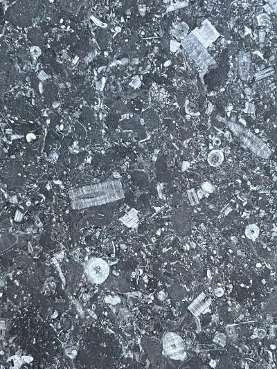 Carved Belgian Bluestone Round Tripod Coffee Table with Dish Top Customizable