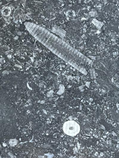 Carved Belgian Bluestone Round Tripod Coffee Table with Dish Top Customizable