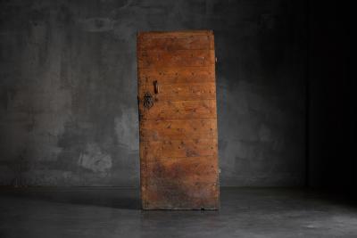 Carved Geometric Vernacular Pine Door Hautes Alpes France 19th Century