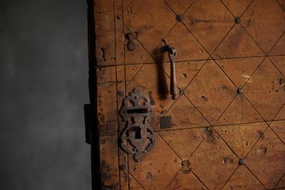 Carved Geometric Vernacular Pine Door Hautes Alpes France 19th Century