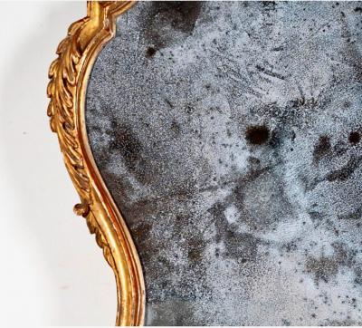 Carved Shell Mahogany Headboard 19th Century