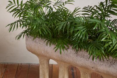 Carved Stone Architectural Planter