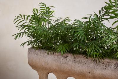 Carved Stone Architectural Planter