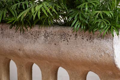 Carved Stone Architectural Planter