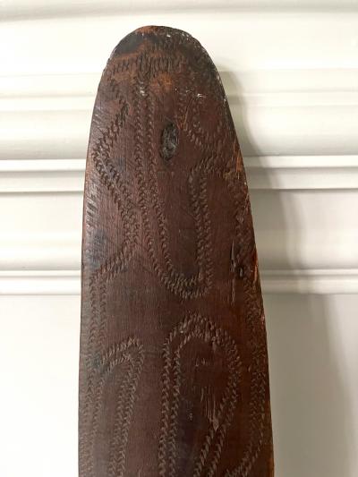 Carved Wood Aboriginal Shield Western Australia