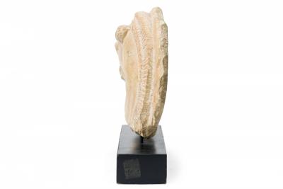 Cast Horse Head Sculpture Mounted on a Wooden Base
