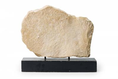 Cast Horse Head Sculpture Mounted on a Wooden Base