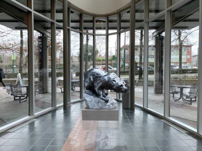 Cathryn Jenkins Black Beauty