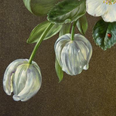 Cecil Kennedy Still Life of White Flowers an Oil Painting by Cecil Kennedy