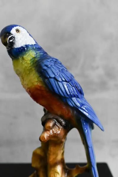 Ceramic Parrot by Ceramiche Boxer Bassano Del Grappa