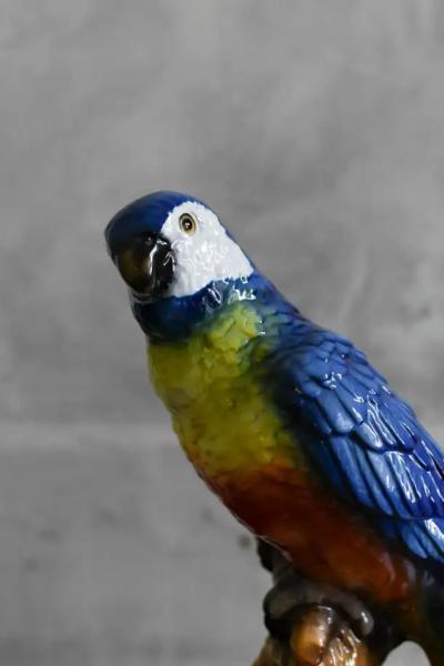Ceramic Parrot by Ceramiche Boxer Bassano Del Grappa