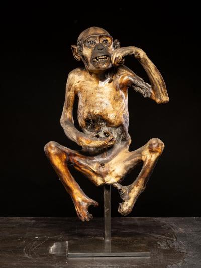 Ceremonial mummified monkey