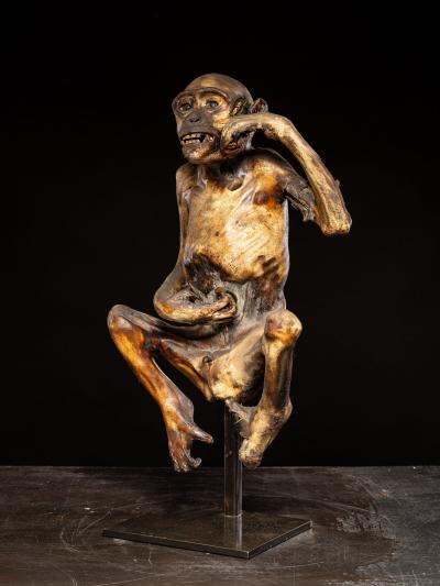 Ceremonial mummified monkey