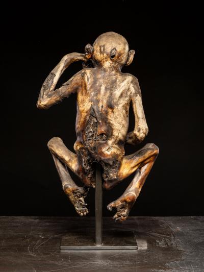 Ceremonial mummified monkey