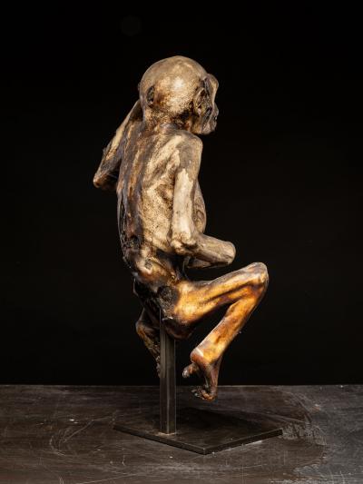 Ceremonial mummified monkey
