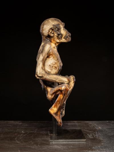 Ceremonial mummified monkey