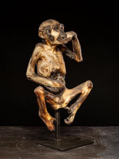 Ceremonial mummified monkey