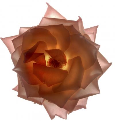 Chad Kleitsch Untitled 24
