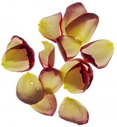 Chad Kleitsch Untitled 42