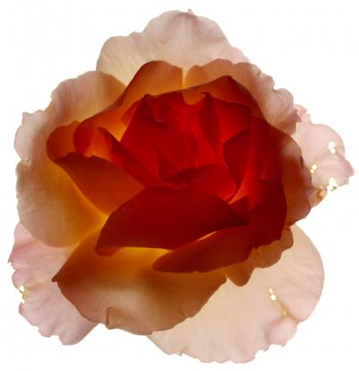 Chad Kleitsch Untitled 56