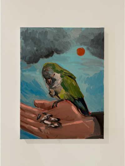 Charles Hasco t Feeding Parakeet 2025