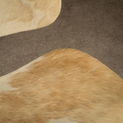 Charles Ray Eames Pair of Eames LCM Chairs in Calf s Skin for Vitra